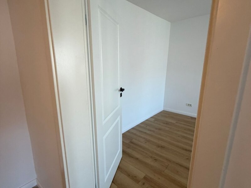 Theodor Pallady, langa ING,