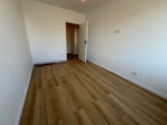 Theodor Pallady, langa ING