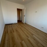 Theodor Pallady, langa ING